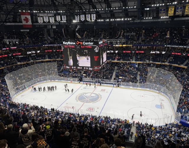 Buffalo Sabres: Resilience in Many Forms